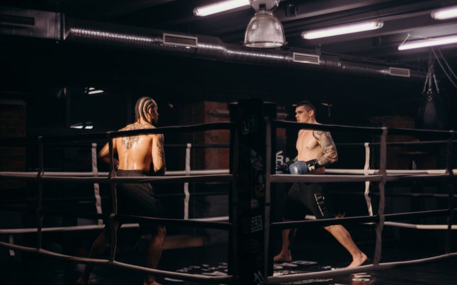 Boxer in the corner of the ring